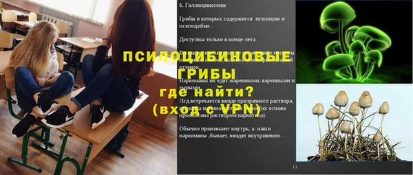 ГАЛЛЮЦИНОГЕННЫЕ ГРИБЫ Армянск