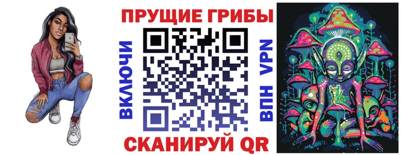 Псилоцибиновые грибы мицелий  наркотики  Ивангород 