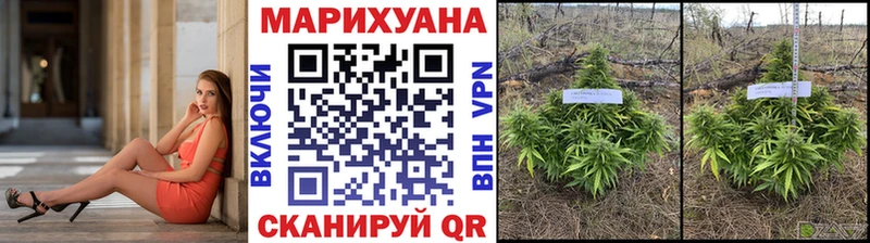 kraken как зайти  Ивангород  Каннабис THC 21% 